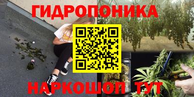 мет Ливны