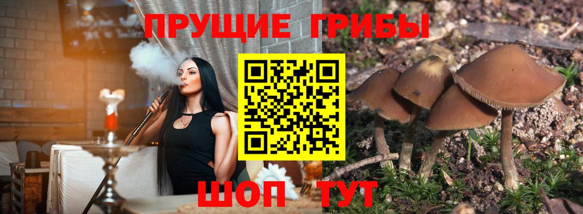 Янаул  Псилоцибиновые грибы мухоморы  Вход с VPN 